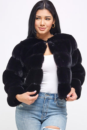 All I Have Fur Coat